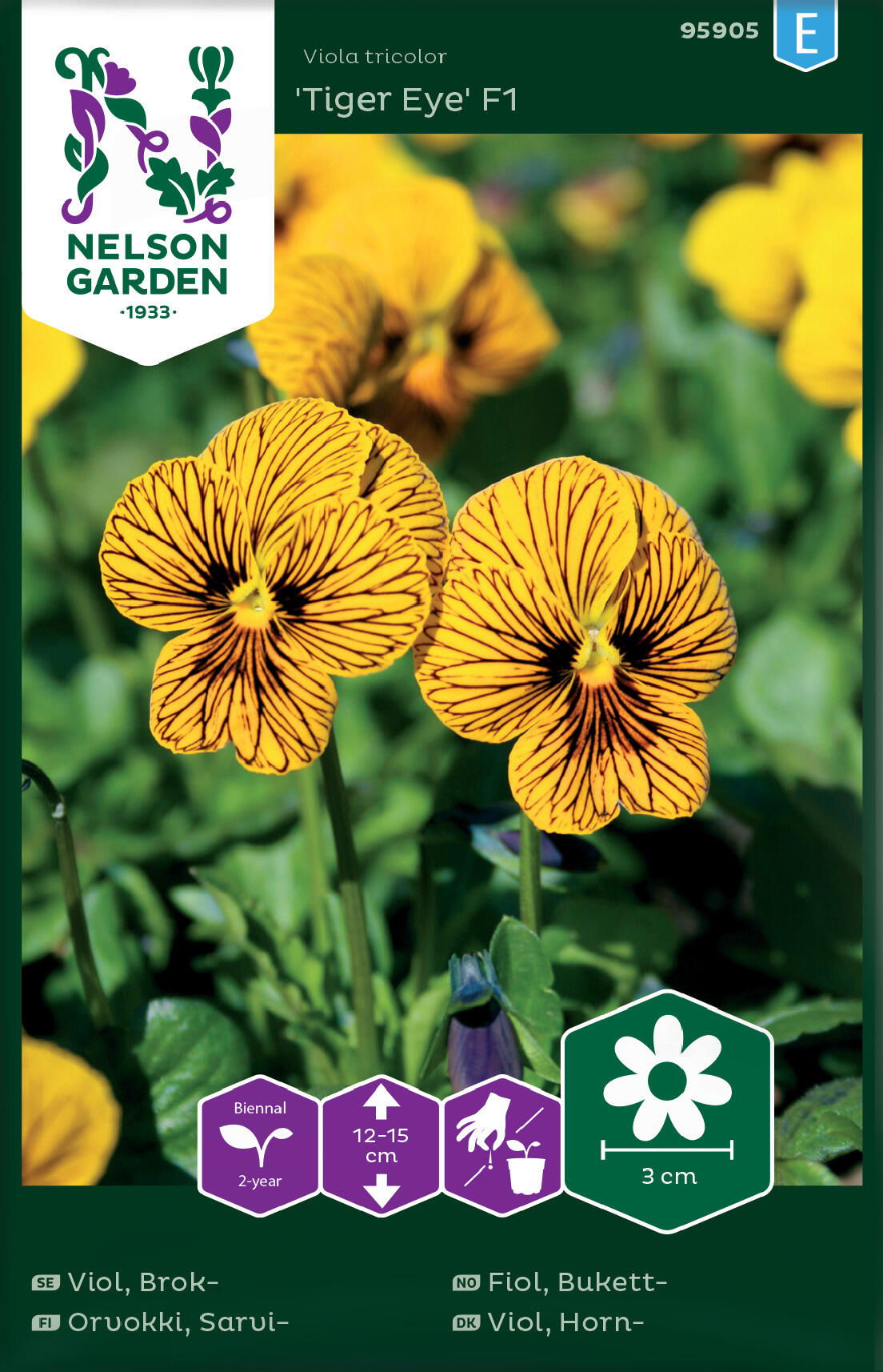 Bukett violett 'Tiger Eye' F1